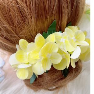 Hydrangea Khopa Crown